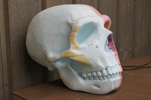 hominid_and_simian_soulsprocess53_1200